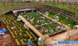 南宁园博园爆料视频最新,惊艳美景与独特文化融合之旅