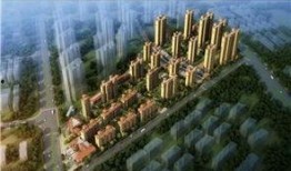 新野房地产爆料案件最新,揭开背后利益链的神秘面纱