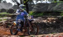 爆料视频摩托车大全最新,爆款车型盘点与亮点解析