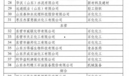 最新爆料工厂名单公布,揭秘各大知名品牌代工厂名单
