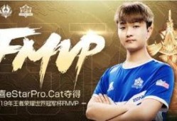 cat最新爆料fmvp,揭秘最新FMVP神秘面纱