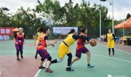 省体育中心爆料事件最新,真相揭秘，事件背后惊心动魄