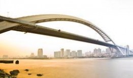 卢浦大桥爆料最新消息视频,视频揭露惊人真相