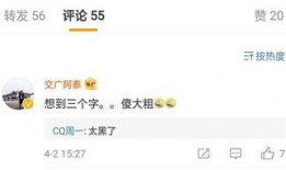 阿尔法最新爆料消息视频,揭秘神秘视频背后的惊人真相