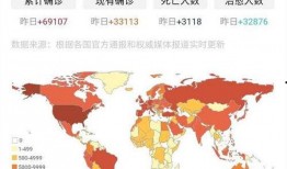 俄罗斯爆料最新疫情,全球疫情形势严峻，各国应对措施升级