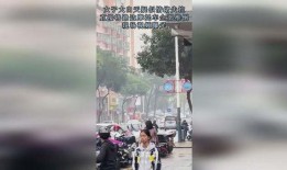 爆料视频摩托车大全最新,爆款车型盘点与亮点解析