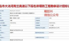 胶州最新爆料消息,揭秘城市发展与民生改善新动态